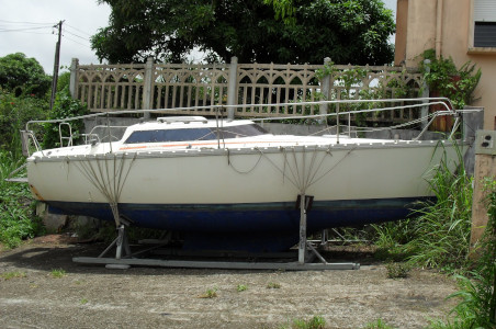 Le Fantasia de profil à la maison