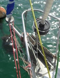 Bout Dehors Vue dessus Gauche