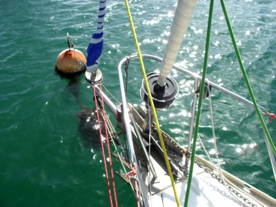 Etrave avec Gennaker enroulé