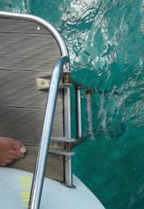 Plate forme et echelle de bain