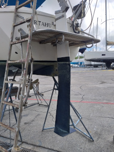 Safran à ailettes vue arrière gauche