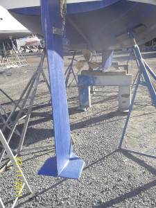 Safran à ailettes Vue Arrière